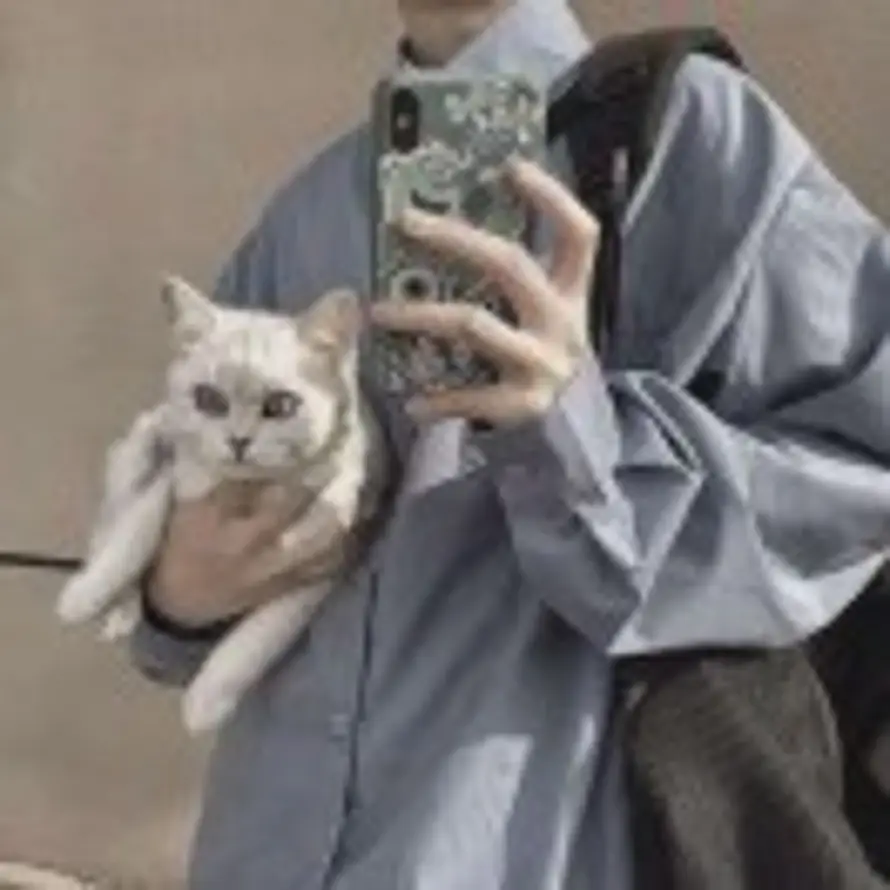 十七的头像
