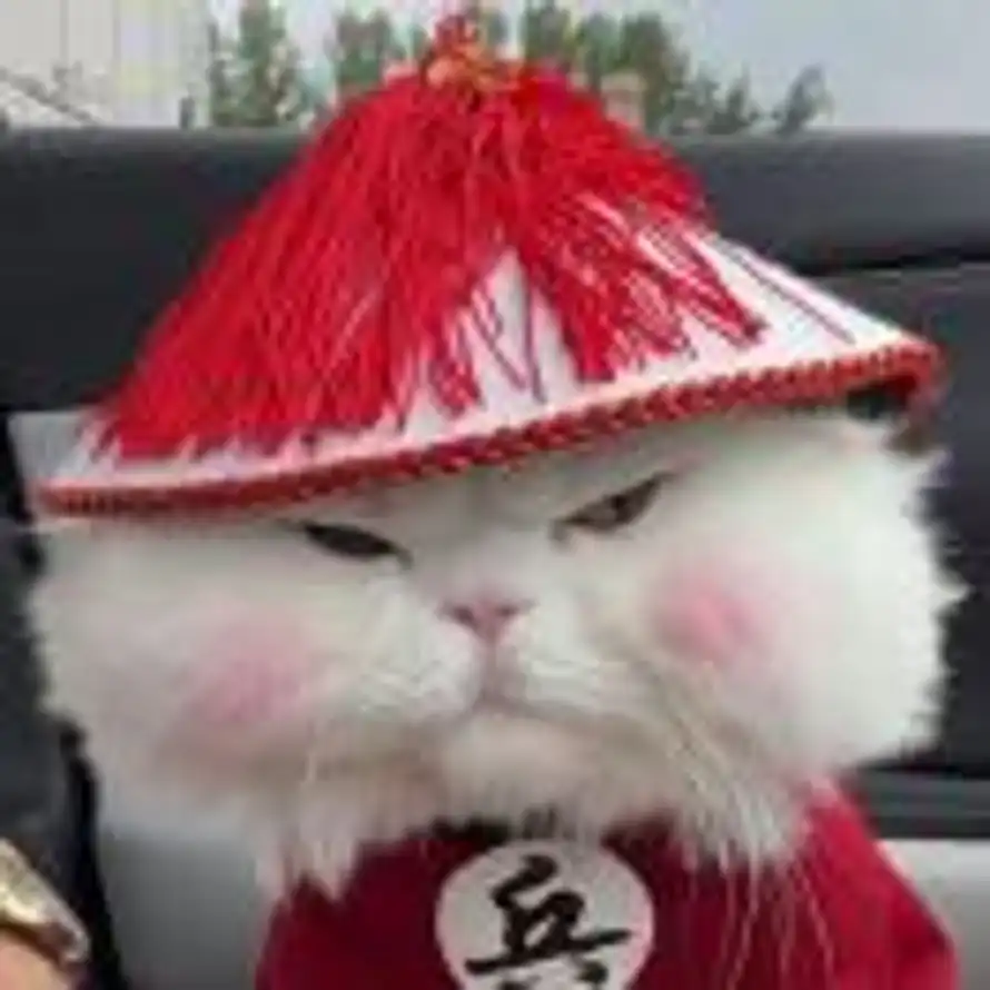 (๑´0`๑)っ的用户头像 - 哲风壁纸