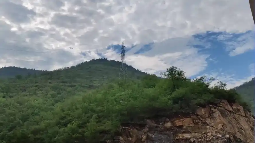 最喜欢的图像