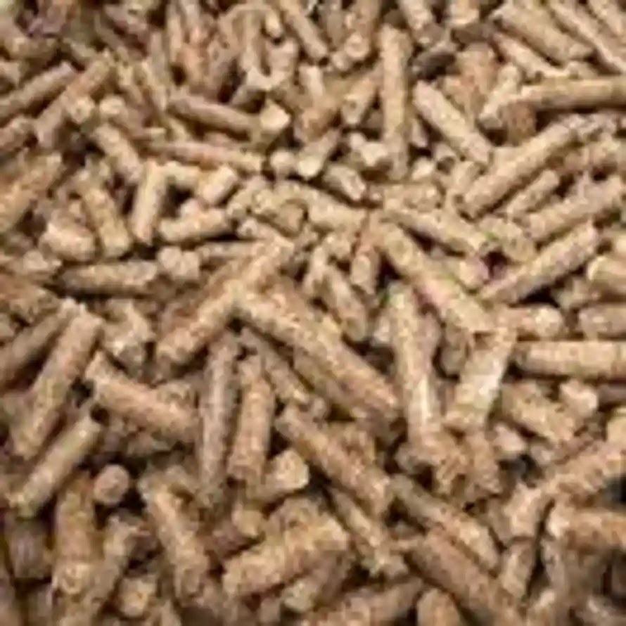 生物颗粒李向廷13438125612的头像