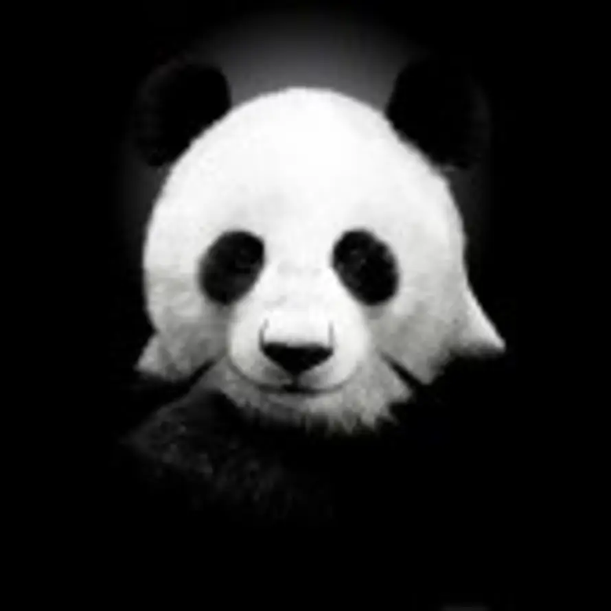 郭磊的头像