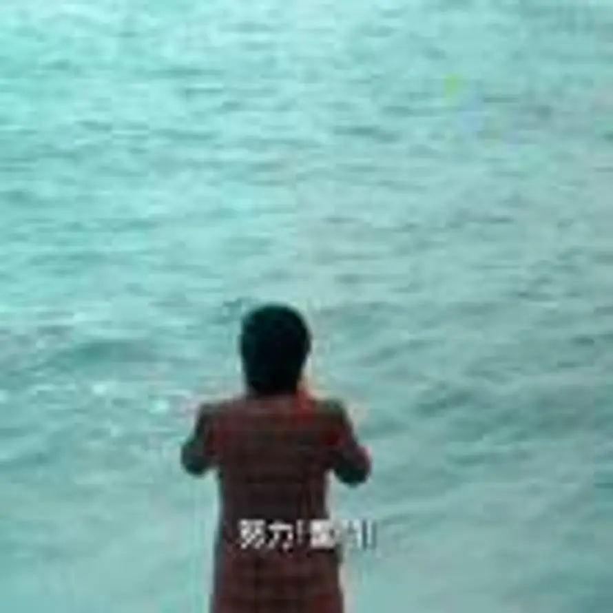 L的头像