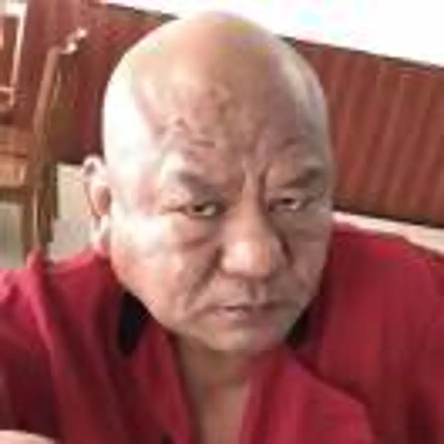 男人三十一枝花的头像