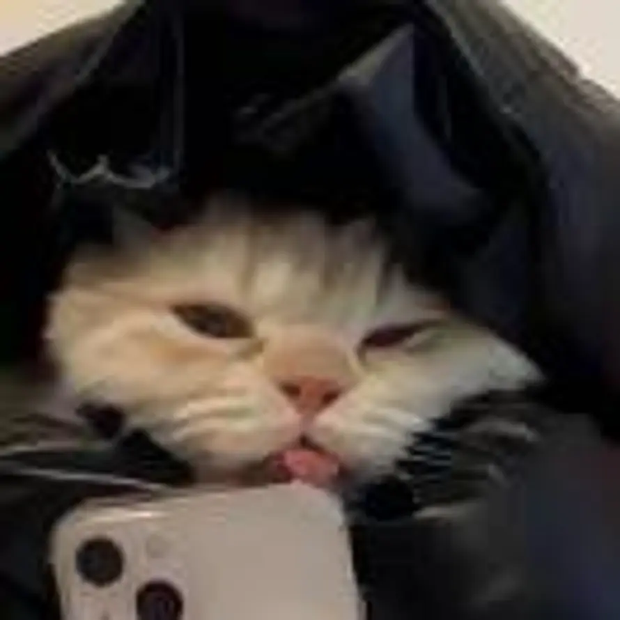想睡觉٩(๑´0`๑)۶的头像