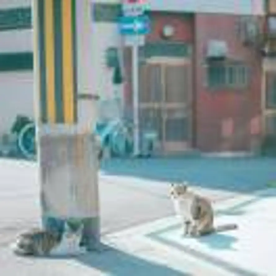 Zsr的头像