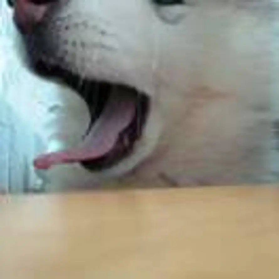 ohyes的头像