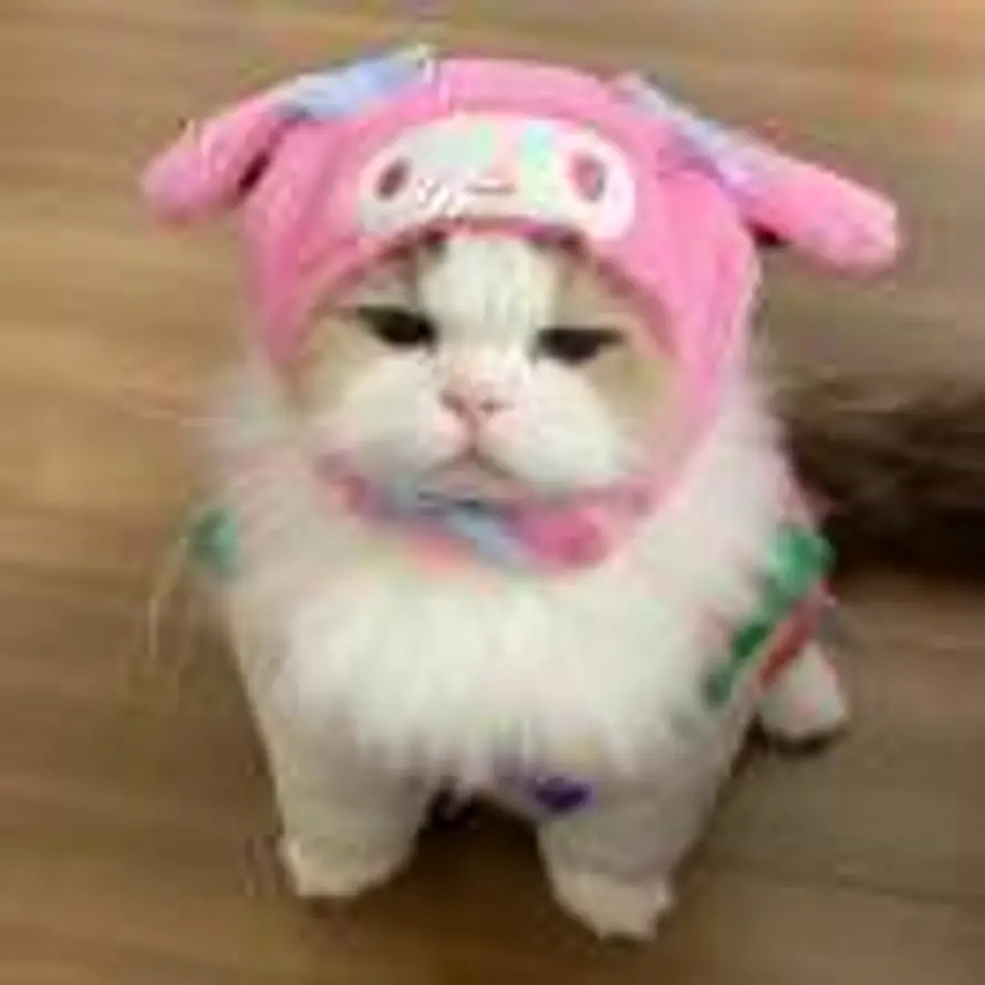 蓝的头像