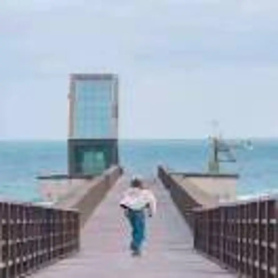 石中歌🌟的头像