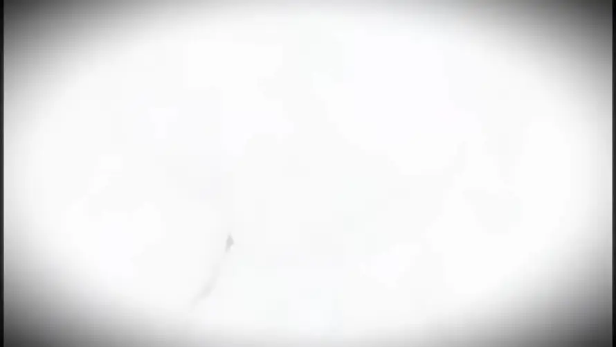 最喜欢的图像