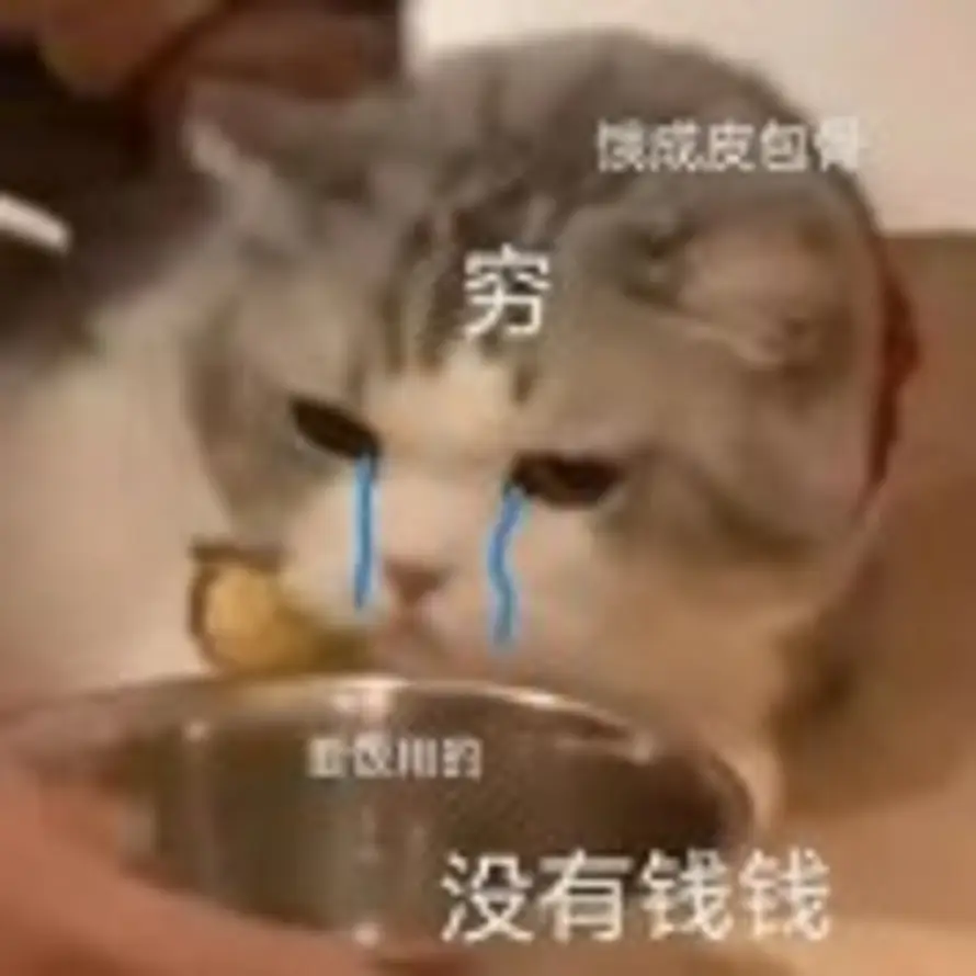 To的头像