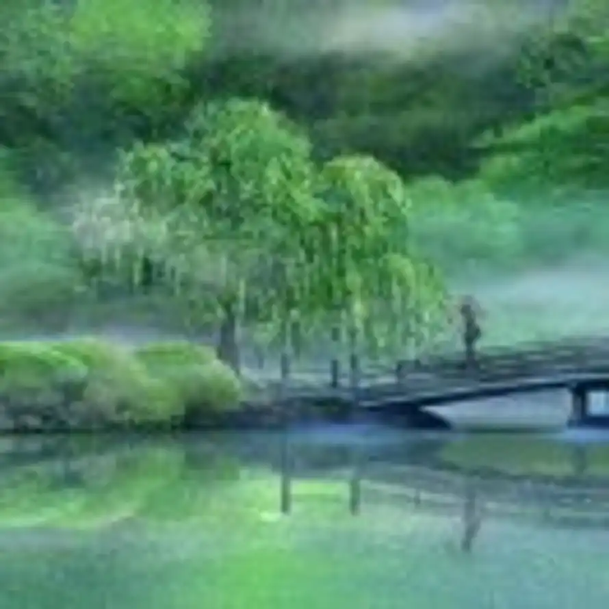 杨东辉的头像