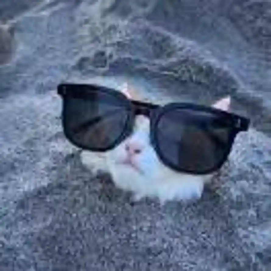 🤓的头像