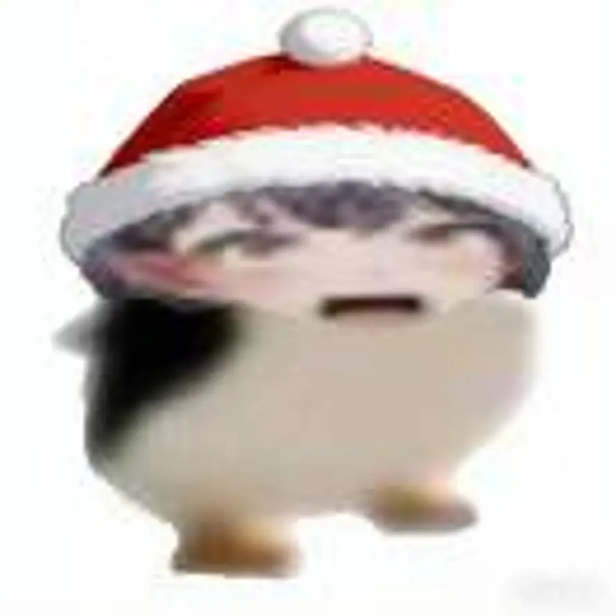 CowArdly的头像