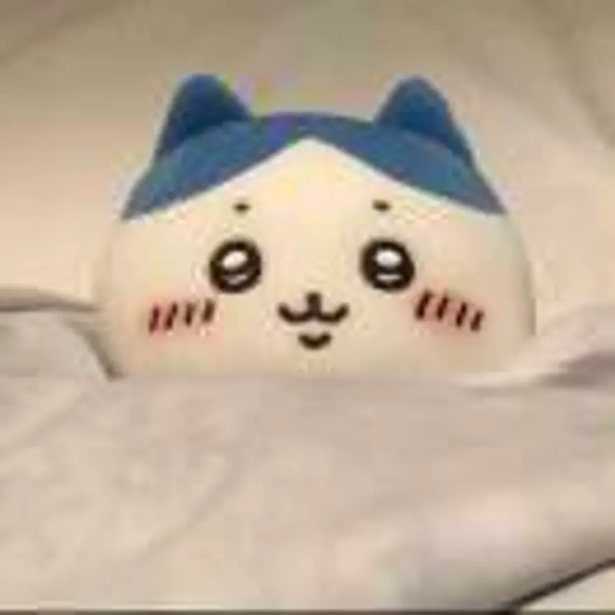 山藏雾起时的头像