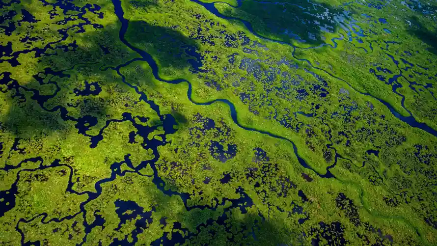 4k俯拍壁纸 - 植被 - 水域 - 湿地「哲风壁纸」