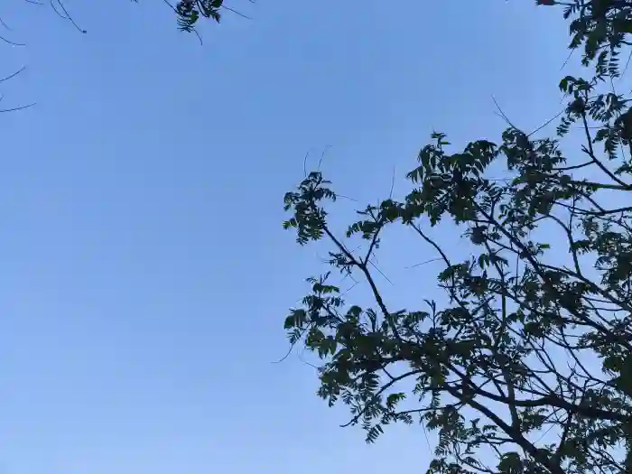 十月的头像