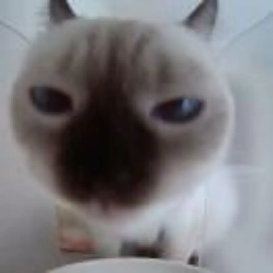 Cat_Amplifier的头像