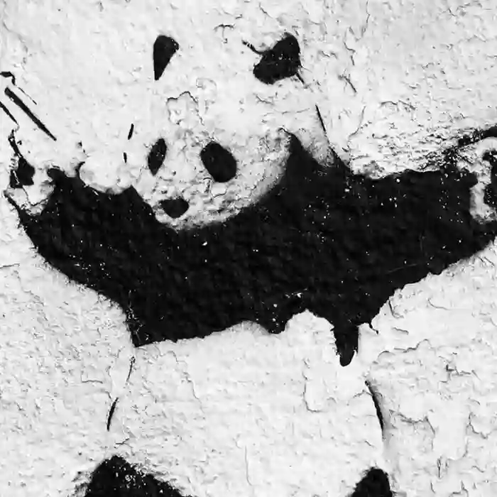 LJW的用户头像 - 哲风壁纸