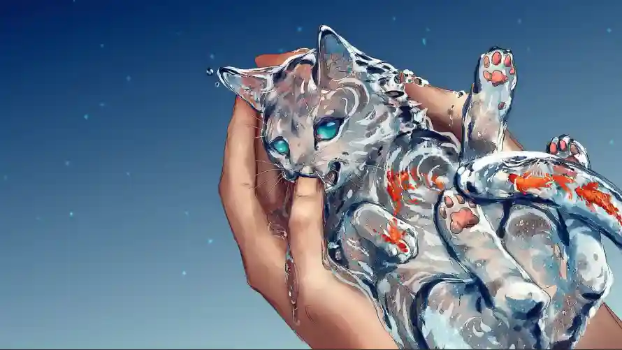 最喜欢的图像