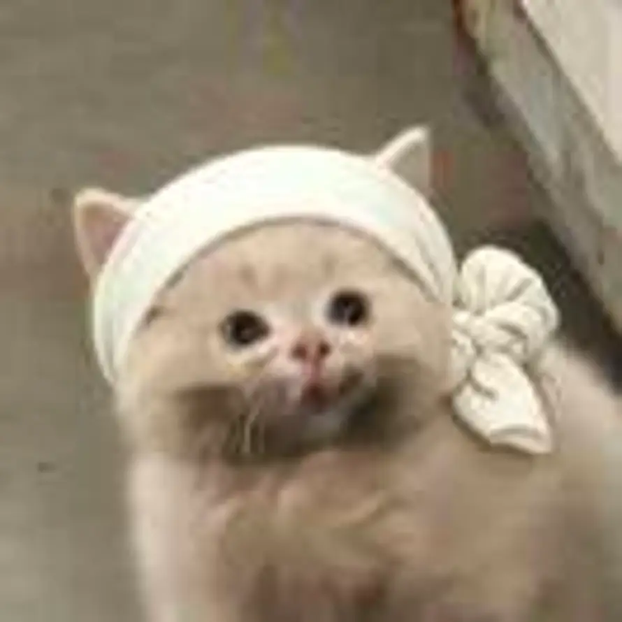 star的头像
