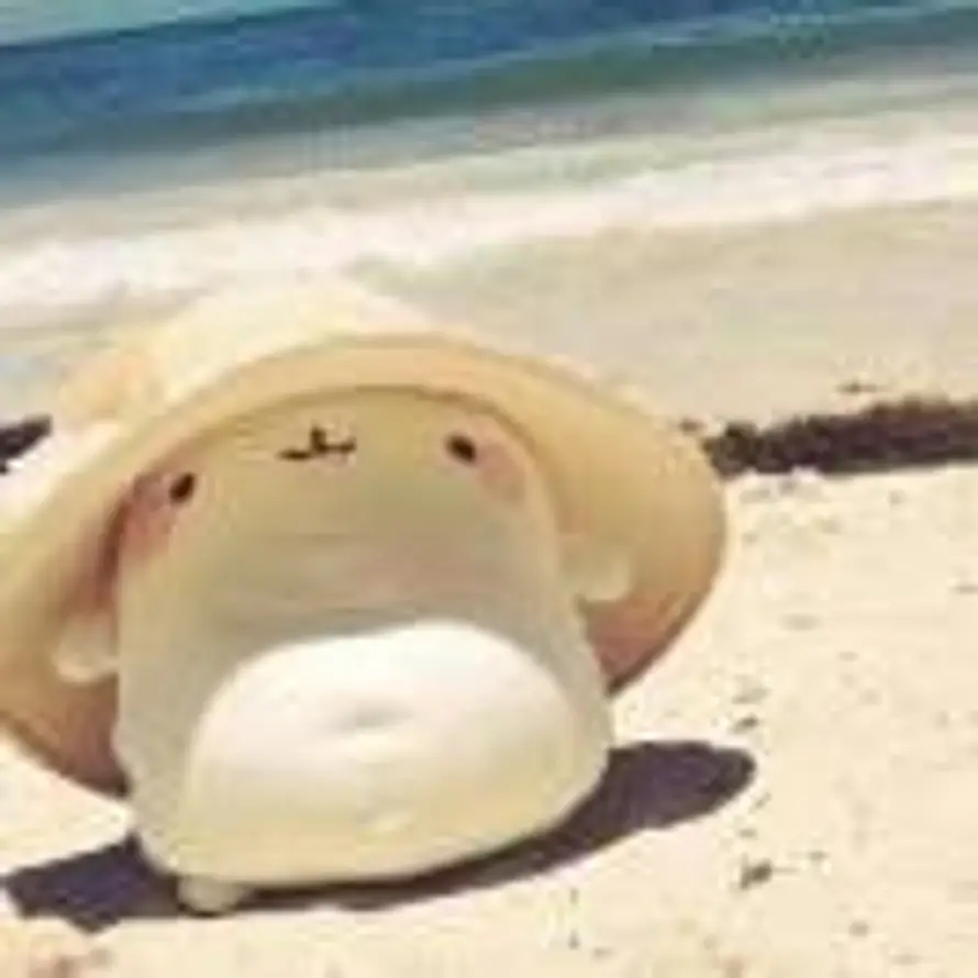 🥥的头像