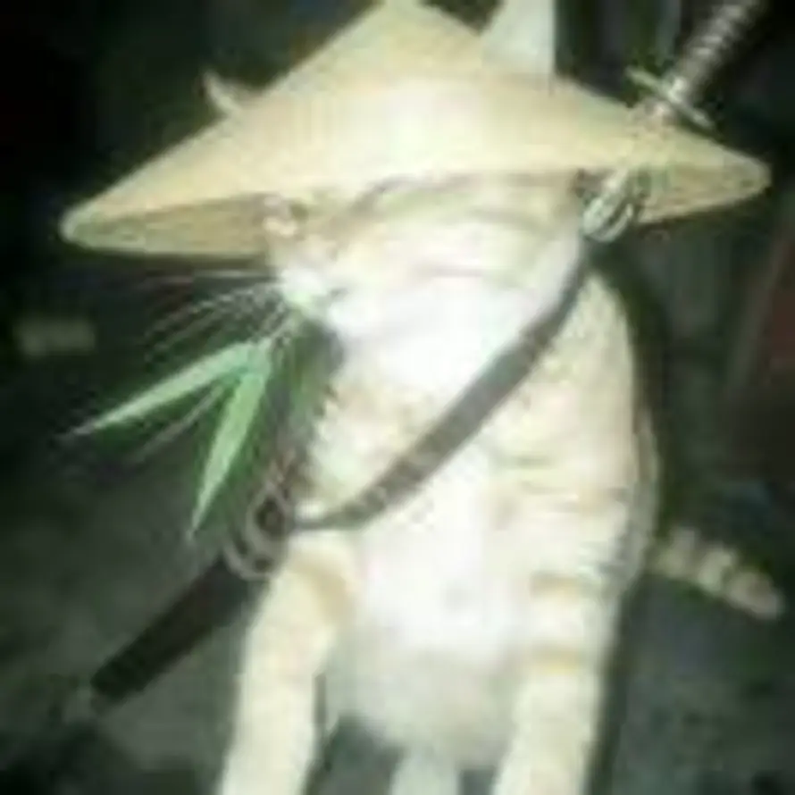 ꧞的头像