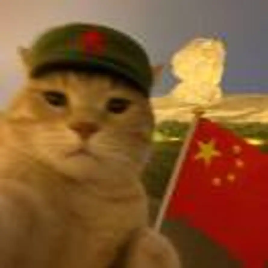 。的头像