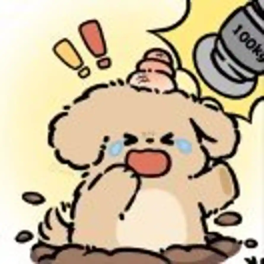 绅沉的头像