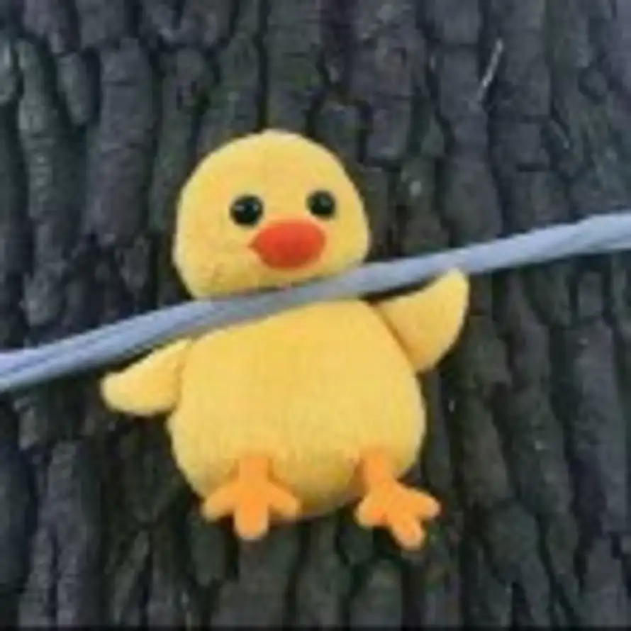 。。。 的头像