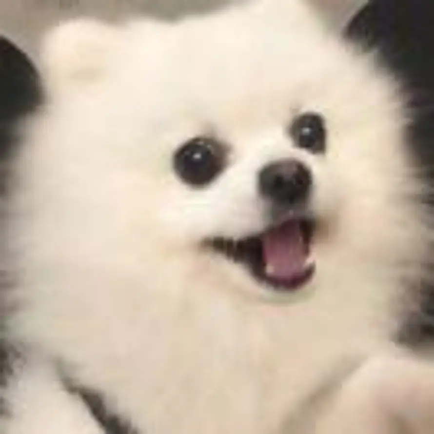 炸油坨谢大点的头像