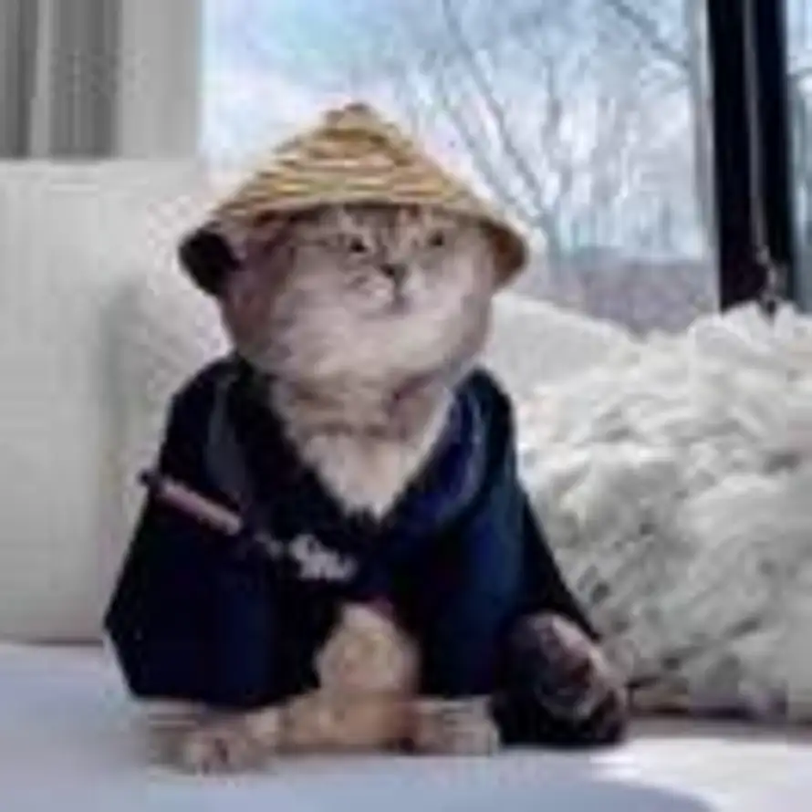 灵晞的头像