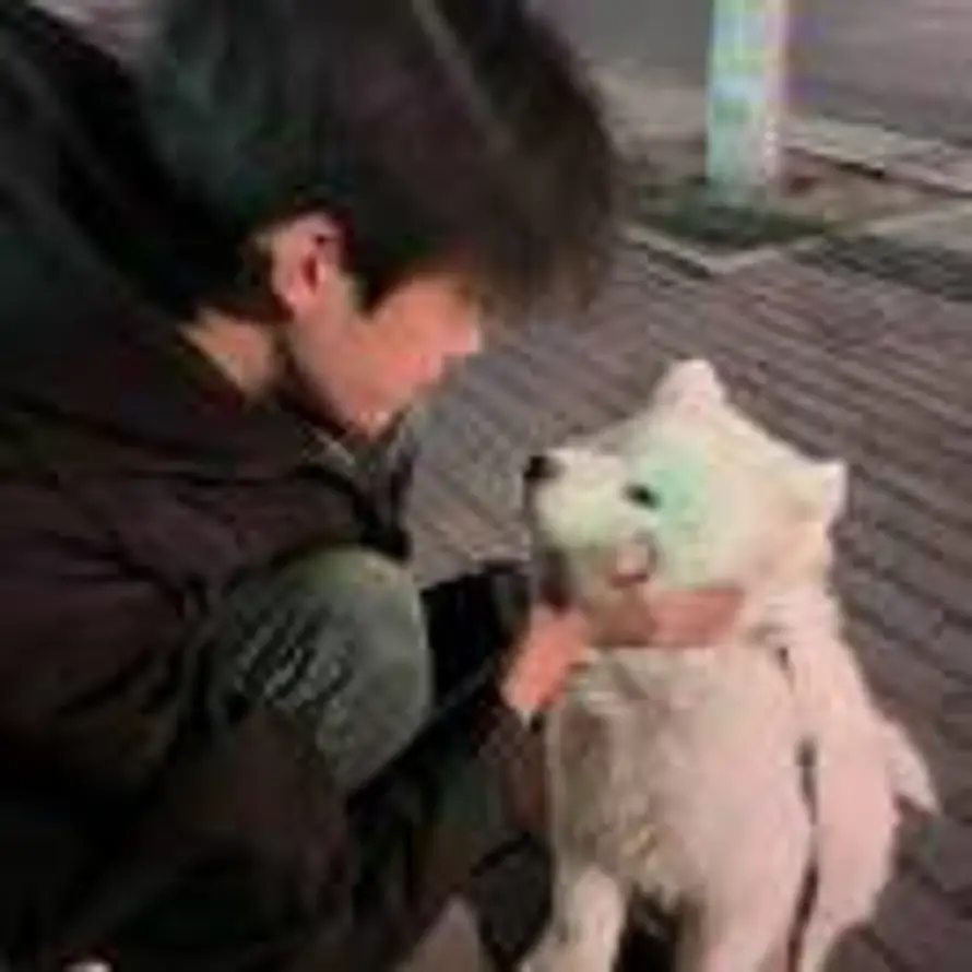 星北雾的头像