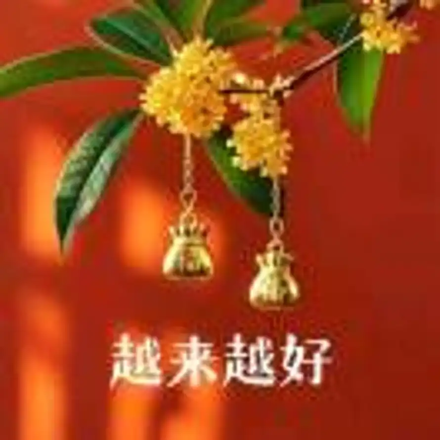 chjq的头像
