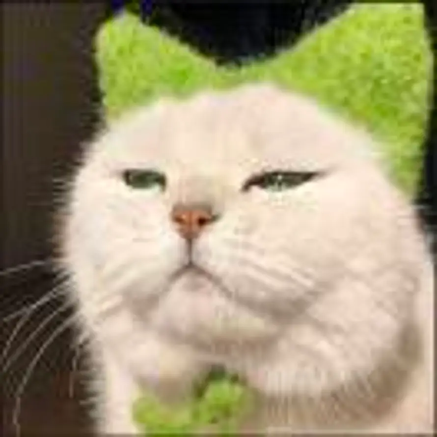 QQ的头像