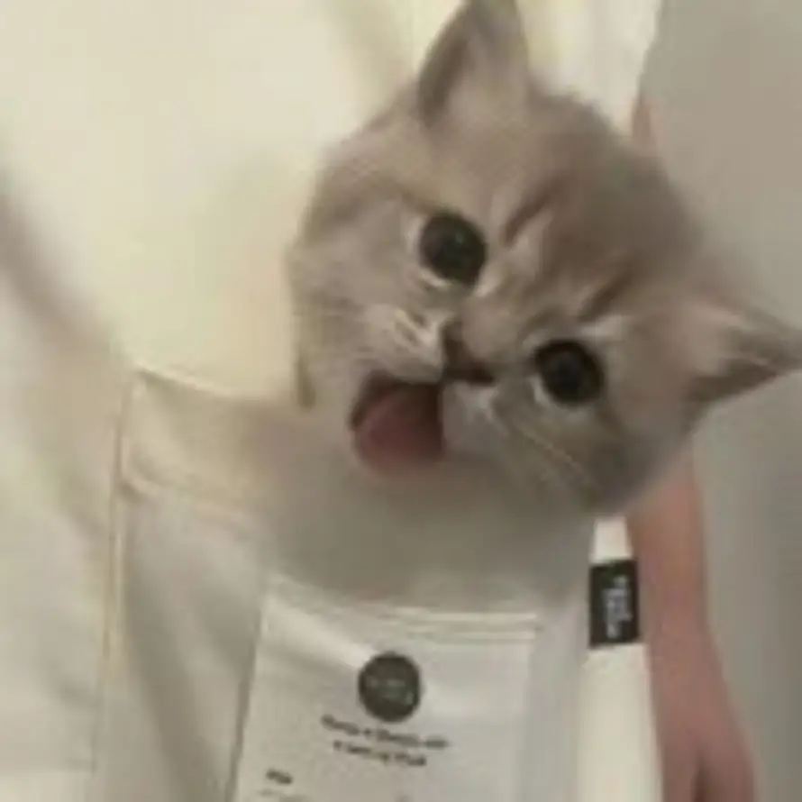 淮的头像