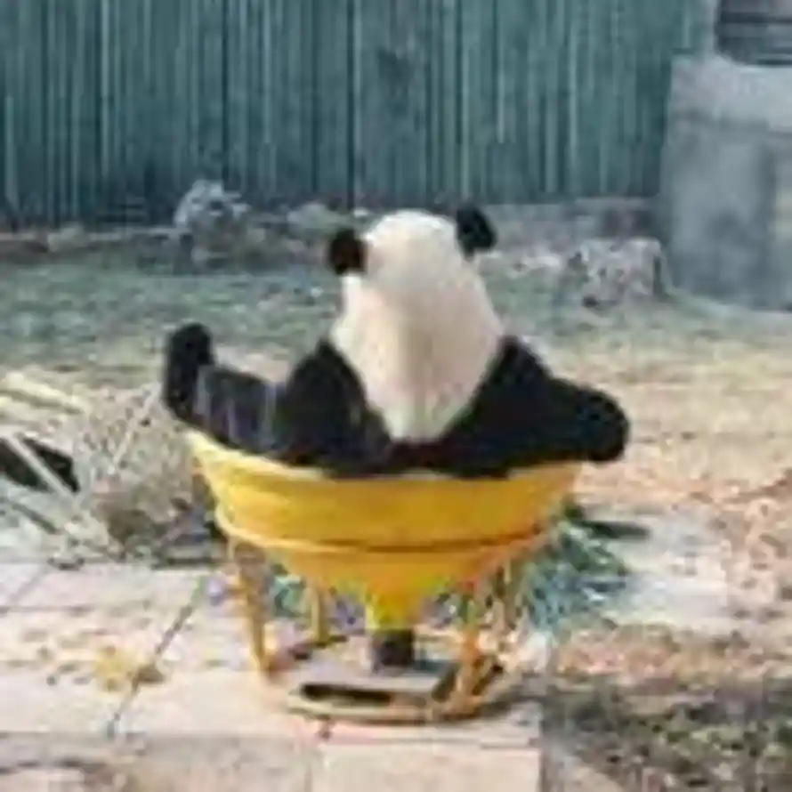 良月十二的头像