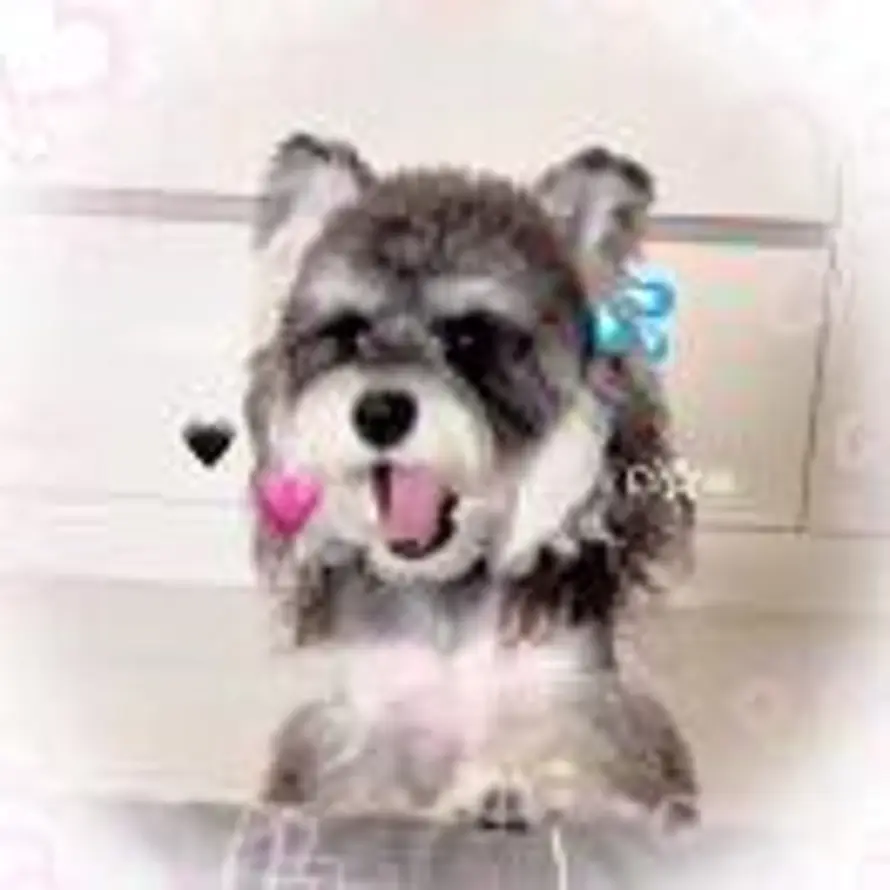 zz_moon的头像