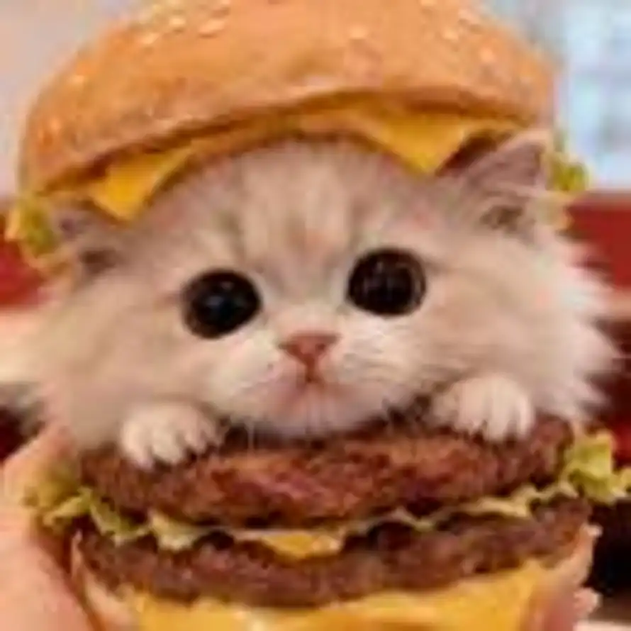 猫堡的头像