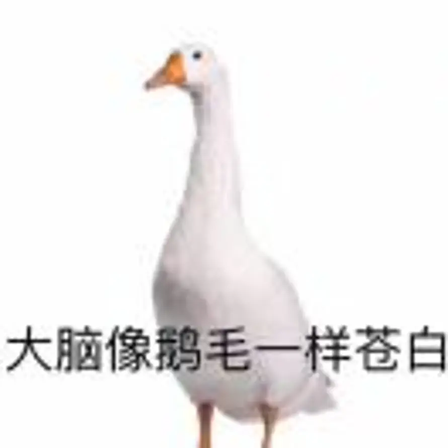 回忆总想哭的头像