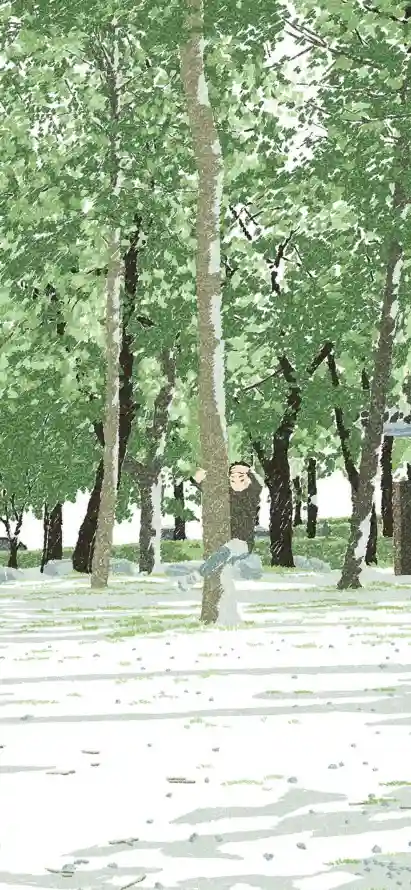 4k光影壁纸 - 户外 - 树影 - 树木「哲风壁纸」
