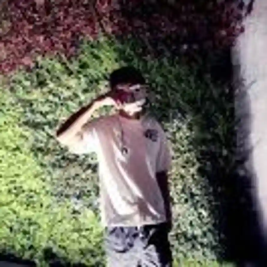 不骗你的头像