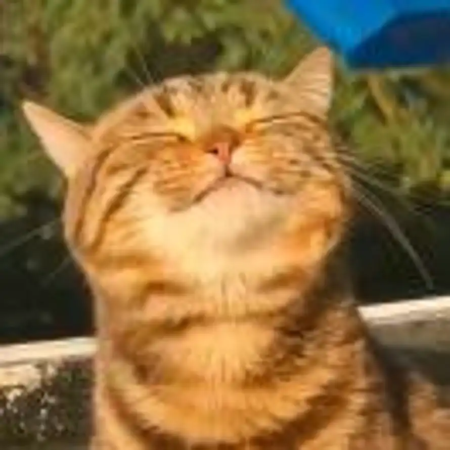 腾灬的头像
