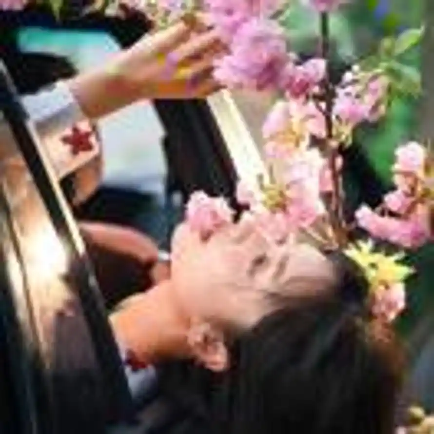 春花信🌸的头像