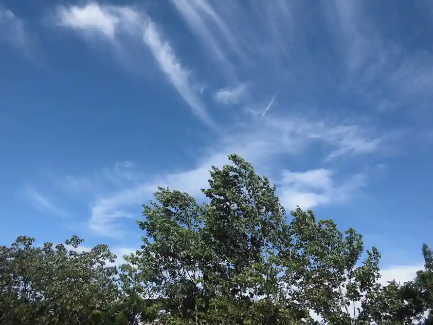 4k云层壁纸 - 天空 - 户外 - 晴天「哲风壁纸」 4k云层壁纸 - 天空 - 户外 - 晴天「哲风壁纸」