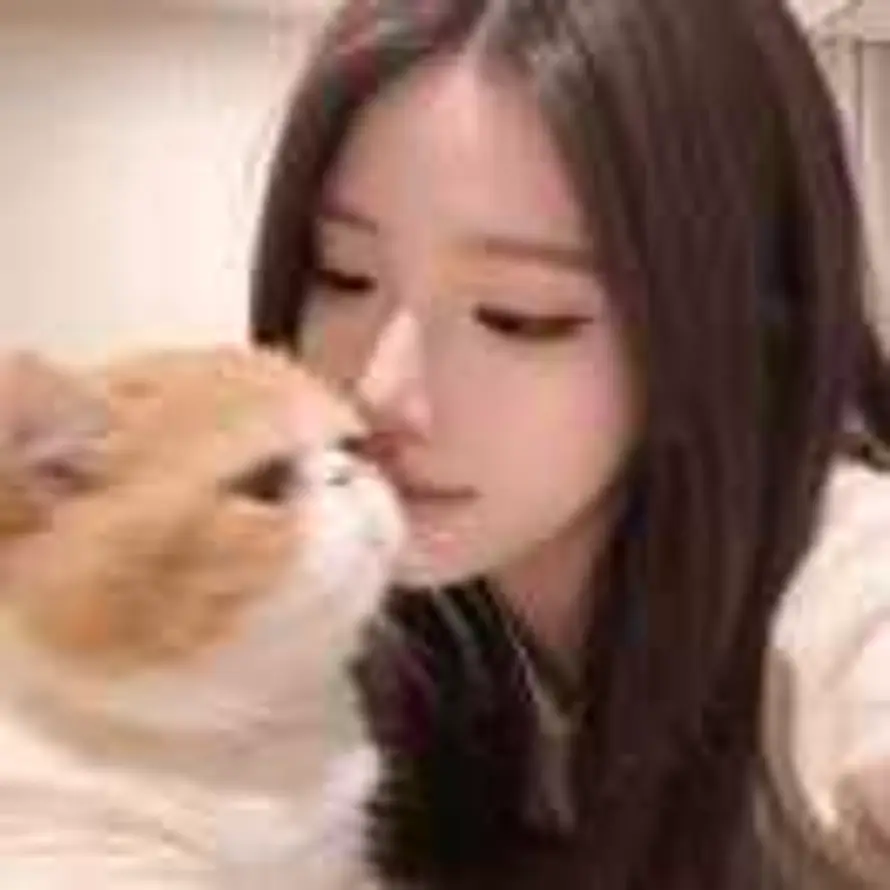 多睡会的头像