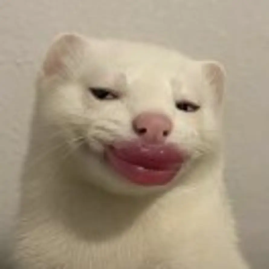 哈士奇也有美好的春天的头像