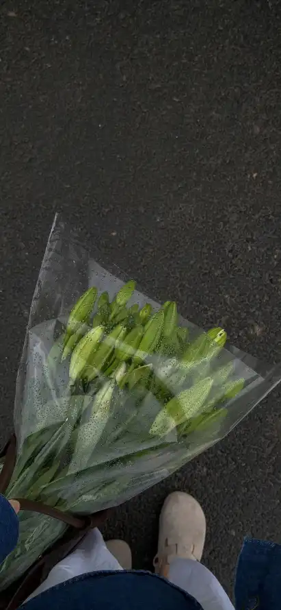 主题背景图片