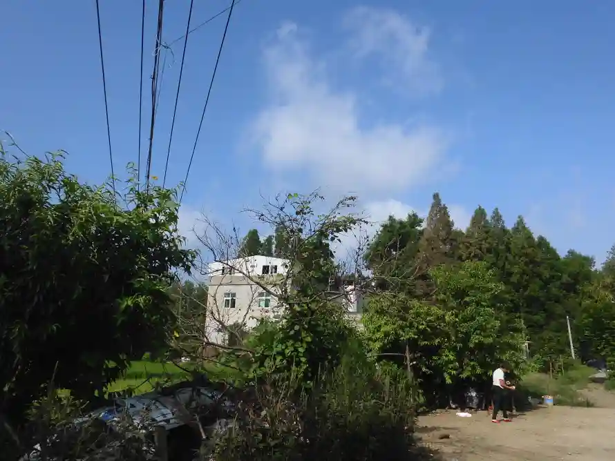 4k乡村壁纸 - 树 - 云朵 - 土路「哲风壁纸」