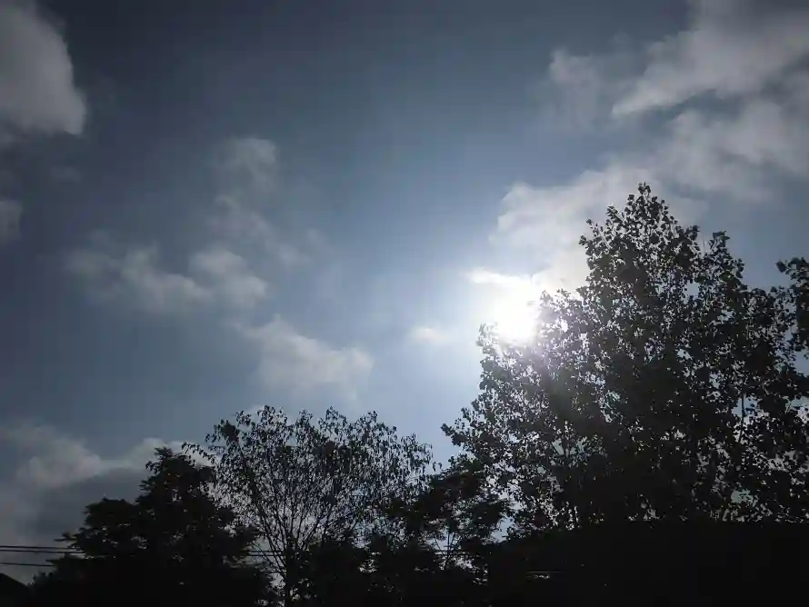 4k云朵壁纸 - 树 - 天空 - 太阳「哲风壁纸」
