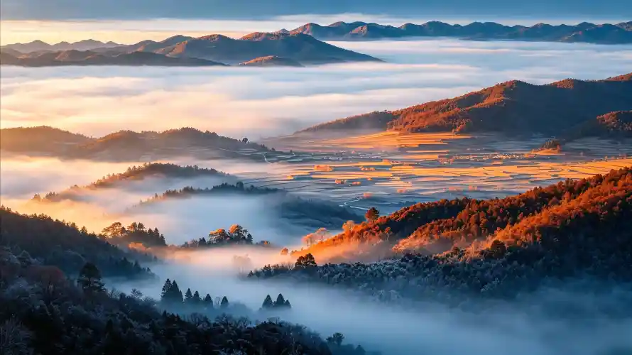 4k森林壁纸 - 日出 - 霞光 - 山峦「哲风壁纸」